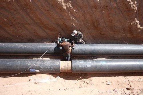 1590458859419009.jpg timg (1).jpg